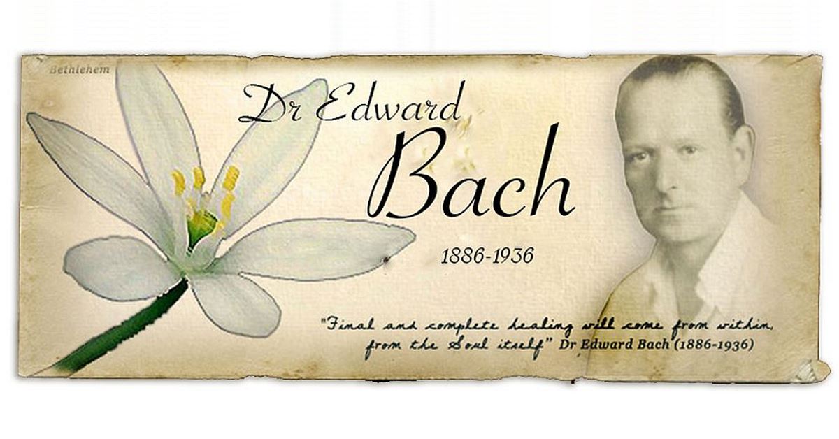 Flores Bach