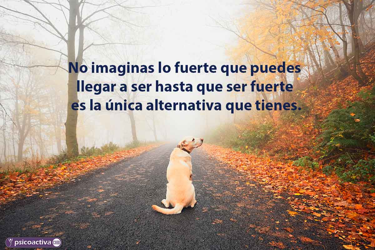 Frases Abandono