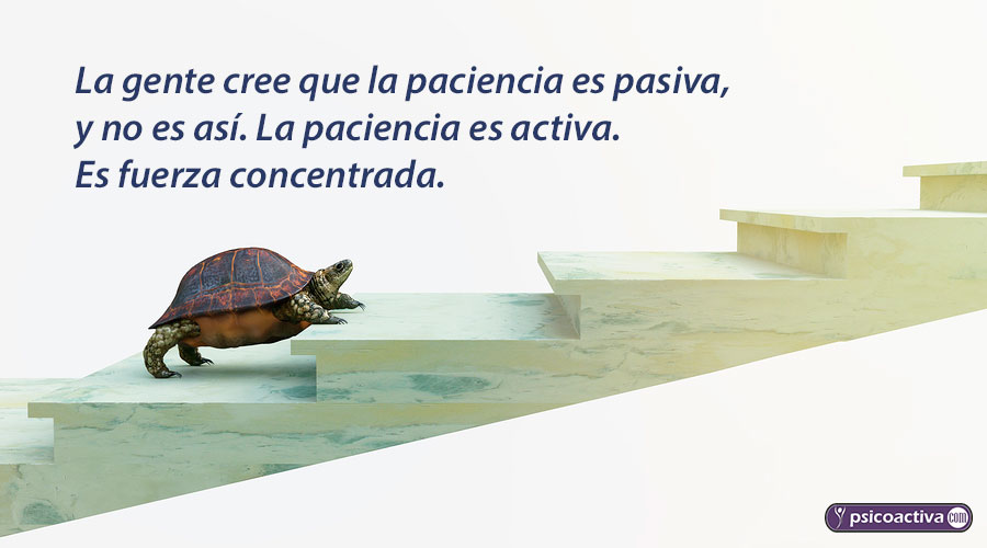 Total 35+ imagen frases sobre impaciencia