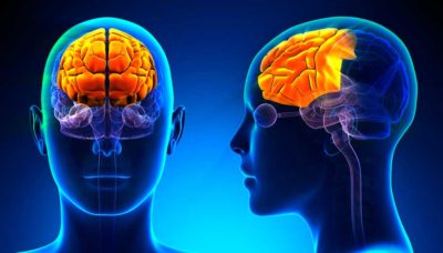 Lobulo Prefrontal