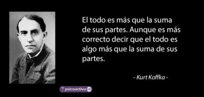 Kurt Koffka Frases