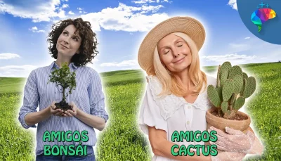 Amigos Cactus Amigos Bonsai