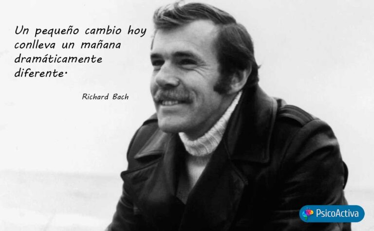 Richard Bach Frases
