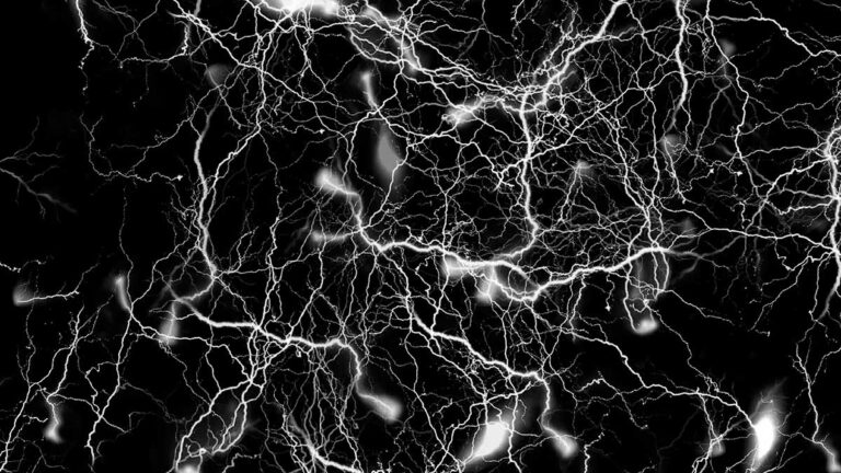 Neurocycle