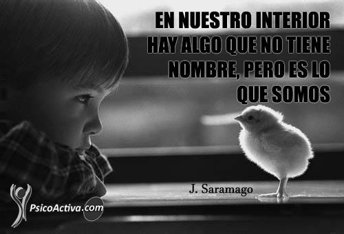 frases saramago4 Frases Saramago