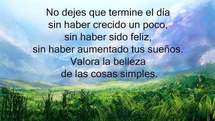 ▷ +100 FRASES del ALMA (¡Haz brillar tu belleza interior!) ▷ +100 FRASES del ALMA (¡Haz brillar tu belleza interior!)