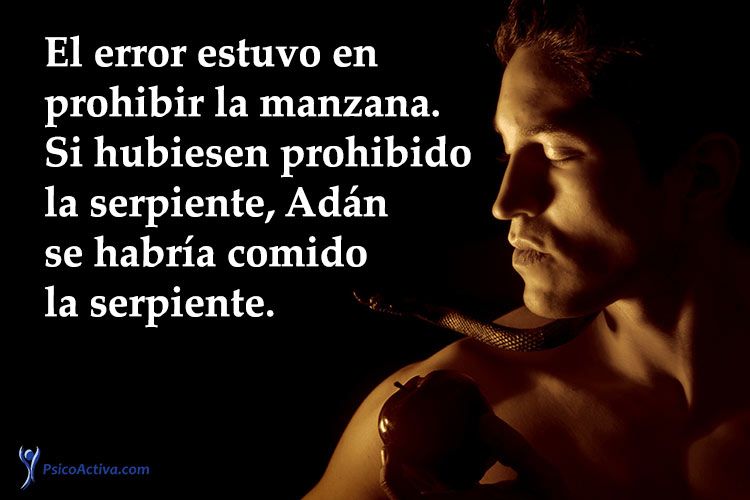 46 Frases sobre lo prohibido en el amor y la vida