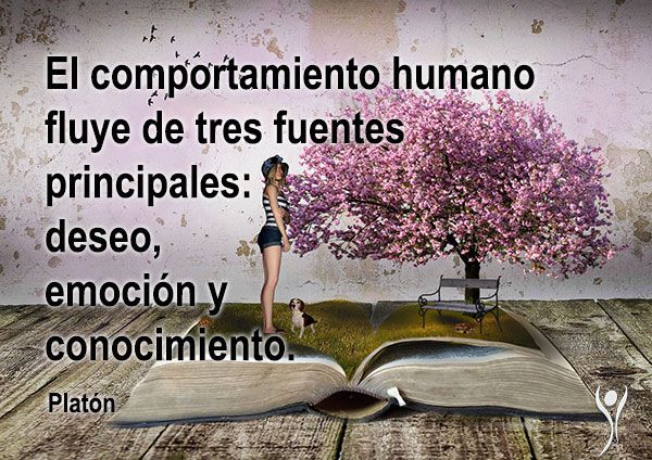 frases deseo pasion3 frases-deseo-pasion