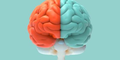 Hemisferios Cerebro