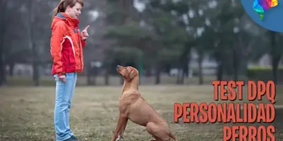 Test Dpq Personalidad Canina
